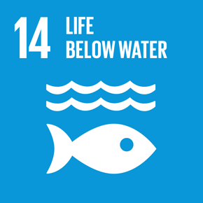 SDGs Goal 14: Conserve and sustainably use the oceans, seas and marine resources