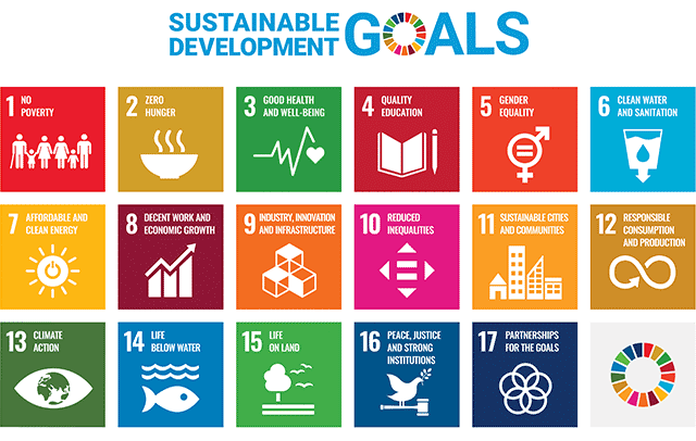 Sustainable Development Goals (SDGs)