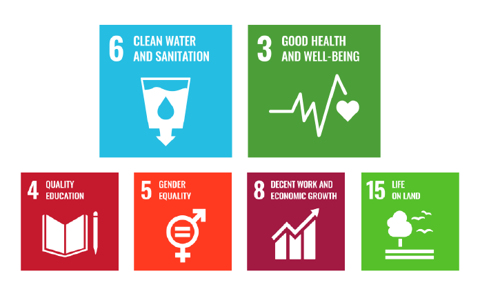 The Sustainable Development Goals (SDGs)