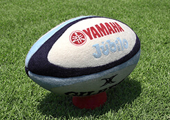 Rugby ball by Needle Felting