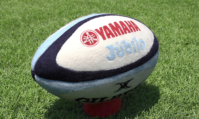 Rugby ball by Needle Felting